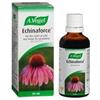 ANFATIS SPA ECHINAFORCE GOCCE 50ML VOGEL