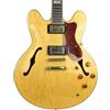 Epiphone Sheraton-II 2008 | Naturale - buono