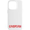 Caspian Cat Name GIfts With Coffee Custodia per iPhone 14 Pro Nome gatto Caspian Gifts All I Need Is Coffee Cat Named