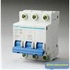 Chint interruttore magnetotermico da guida din quadro 32a 3poli 4,5ka 3 moduli chint 41310 curva c 186505