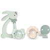 Suavinex Set regalo Wonderland Baby con ciuccio e accessori, verde