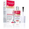 MAVALA ITALIA Srl MAVALA MAVADERMA ACCELLERATORE CRE