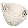 SALSIERA RISVEGLIO SET 4 PZ STONEWARE