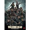 Cameo Media,S.L. The Walking Dead (8ª temporada) [4 DVDs]