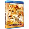 Llamentol S.L. EL FIN DE LOS GRANDES FELINOS (BLU-RAY)