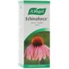 ANFATIS SPA Echinaforce Gocce 50 Ml Vogel