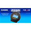 Casio Replacement Original Vintage Cassa / Case Center Casio DW-250DG, NOS