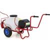 AgriEuro Premium Pompa irroratrice elettrica carrellata M2017011 - A batteria 12V - 70L