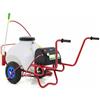 AgriEuro Premium Pompa irroratrice elettrica carrellata M2017012 - A batteria 12V - 70L PRO