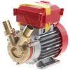 Rover Pompe Rover 25 CE - Elettropompa da travaso in bronzo - Monofase - 230V