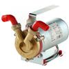 Rover Pompe Rover Marina Mini 20 - Pompa elettrica da travaso in bronzo - 12 V