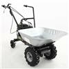 Eurosystems Carry - Motocarriola a ruote a semovenza trazionata 100Kg