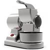 R.G.V. RGV Robusta Silver - Grattugia elettrica da tavolo in alluminio - 450W