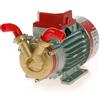 Rover Pompe Rover Marina 20 - Pompa elettrica da travaso in bronzo - 12 V