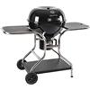 MasterCook Sally - Barbecue a carbone