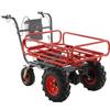 GeoTech CAR 300T-T PLUS - Carriola elettrica a batteria 40V 6Ah
