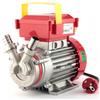 Rover Pompe Rover Novax 20-M - Pompa elettrica da travaso in lega antiossidante - Monofase - 230V