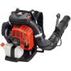 Echo PB 8010 - Soffiatore a scoppio a zaino motore 2 tempi