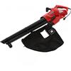 Einhell GC-EL 3024 E - Soffiatore aspiratore per foglie elettrico