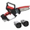 Blue Bird CS 22-06 - Potatore manuale elettrico a batteria - 2 Batterie da 16.8V - 2.5Ah