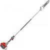 Efco PTH2500 - Potatore a scoppio su asta fissa - Lama 25cm