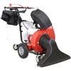 Benassi AF200SL - Aspirafoglie a scoppio trazionato - Honda GX200