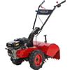GeoTech MCT 550 - Motocoltivatore a benzina - Ducar DH212 - Fresa reversa - 7HP