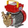 Rover Pompe Rover 20 By-Pass - Elettropompa da travaso in bronzo - Monofase - 230V