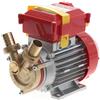 Rover Pompe Rover 25 By-Pass - Elettropompa da travaso in bronzo - Monofase - 230V