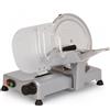 R.G.V. RGV Desy AF 250 AM Silver - Affettatrice con lama temperata 250mm - 140W