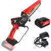 Blue Bird CS 22-07 - Potatore manuale elettrico a batteria - 21V 5Ah