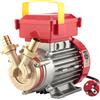 Rover Pompe Rover BE-M 20 - Pompa elettrica da travaso in bronzo - Monofase - 230V