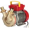 Rover Pompe Rover BE-T 30 - Pompa elettrica da travaso in bronzo - Trifase - 400V