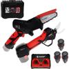 Blue Bird CS 22-04 & PS 23-25 Faster - Kit Potatore a batteria + Forbici elettriche da potatura - 12.6V 2.5Ah - Diametro di taglio 23mm