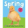 Roger Priddy Spring (Bright Baby Touch and Feel) (Libro di cartone)