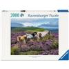 Ravensburger Puzzle 12001751 - Wild Horses in the Heath - Puzzle da 2000 pezzi, per appassionati di cavalli dai 14 anni in su