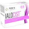 VELA FARMACEUTICI Srls Ialocist 14stick