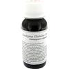 LABOR VILLA STODDARD Srl VILLA STODDARD 56S 60ML EUCALYPT GL