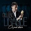 Ligabue Giuliano Ci Può Stare (CD)