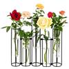 Bigsee Vaso in vetro con supporto per fiori, vaso nero incernierato con supporto in metallo, set di 5 vasi per piante idroponici, set di 5 vasi per piante regolabili, set per centrotavola, decorazione per
