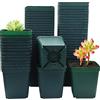 RooTrimmer Confezione da 80 vasi quadrati in plastica verde da 9 cm, per piante grasse, 80 pezzi/confezione (9 cm, 80 pezzi verdi)