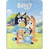 Northwest Bluey Micro Raschel, coperta da 116,8 x 152,4 cm, foto di famiglia