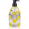 Accentra Essential Botanicals Hand Soap 300 ml