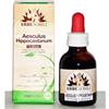ERBENOBILI Srl FITOBLASTO Aesculus H 50ml