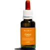 NATUR SRL CREA GIOIA NATUR MIX 30 ML