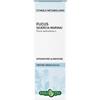 ERBA VITA GROUP SPA FUCUS TALLO SOL IAL 50ML