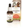 BUSH BIOTHERAPIES PTY LTD TRANSITION PETS 30ML