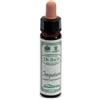 SANTIVERI SA AINSWORTHS IMPATIENTS 10ML