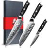 SHAN ZU Set 3 Pezzi Coltelli da Cucina Damasco da Chef Giapponesi | 67 Strati in Acciaio 10Cr15MoV ad Alto Carbonio, Manico Ergonomico in G10 - PRO Series