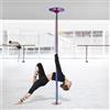 Generic Bastone da ballo per casa e palestra, palo spogliarellista regolabile per principianti e professionisti, palo portatile per fitness e danza con montaggio a soffitto, uso commerciale